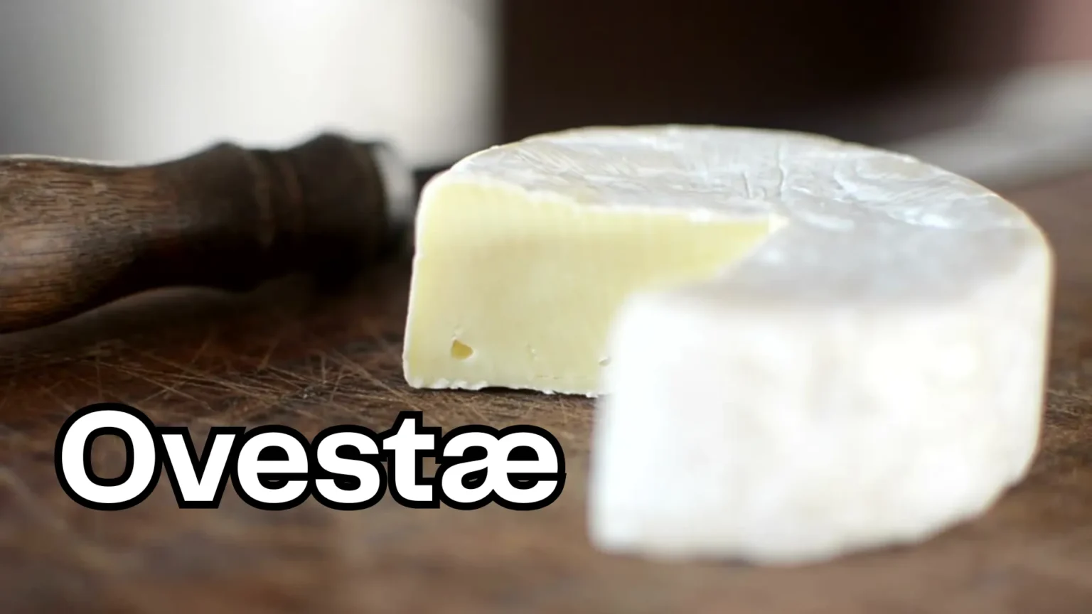 Ovestæ