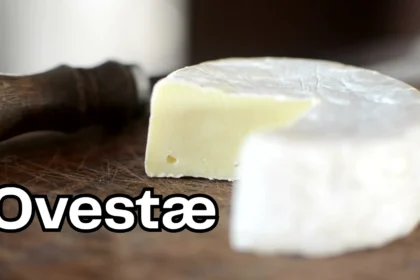 Ovestæ