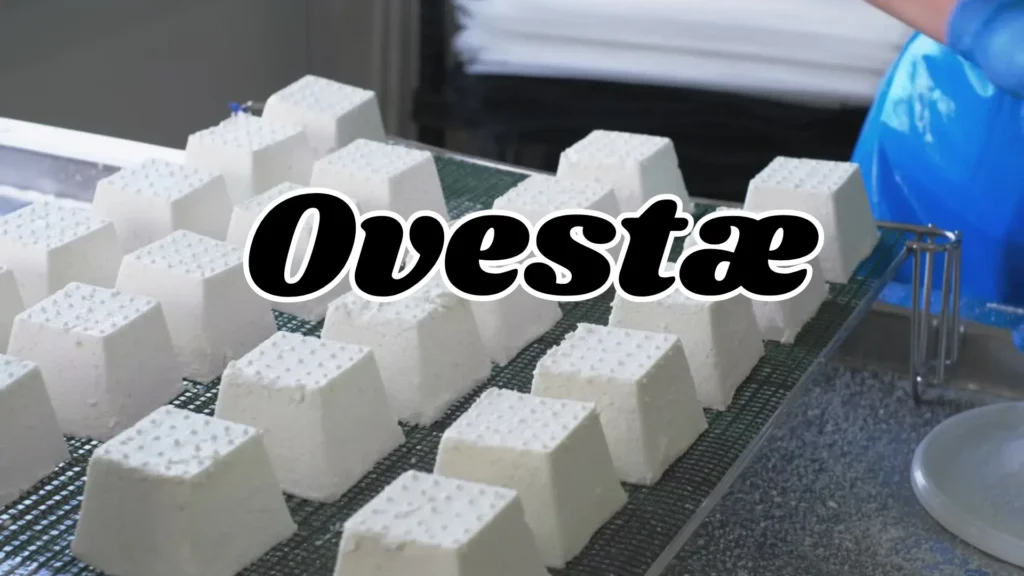 Ovestæ