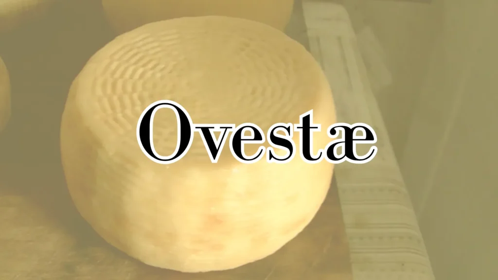 Ovestæ