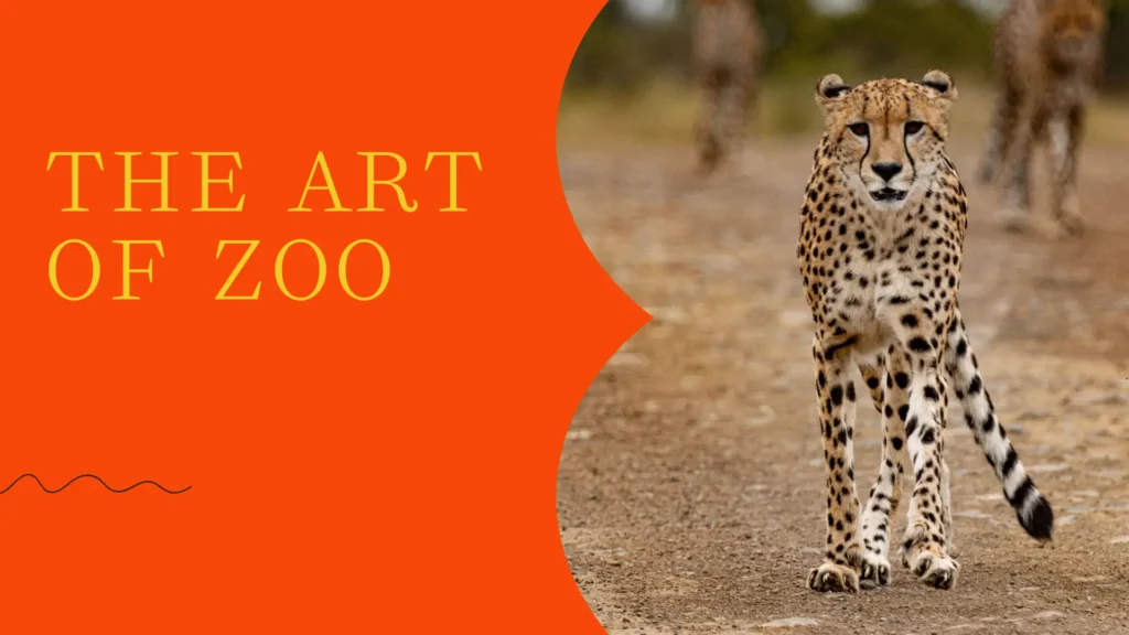 the art of zoo