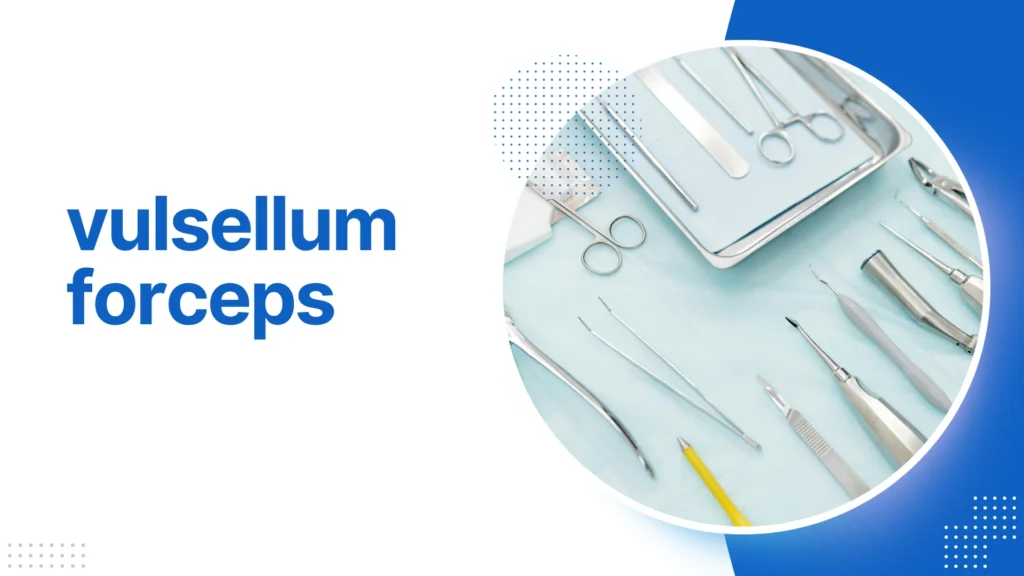 vulsellum forceps