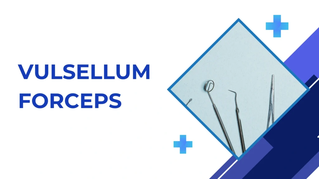 vulsellum forceps