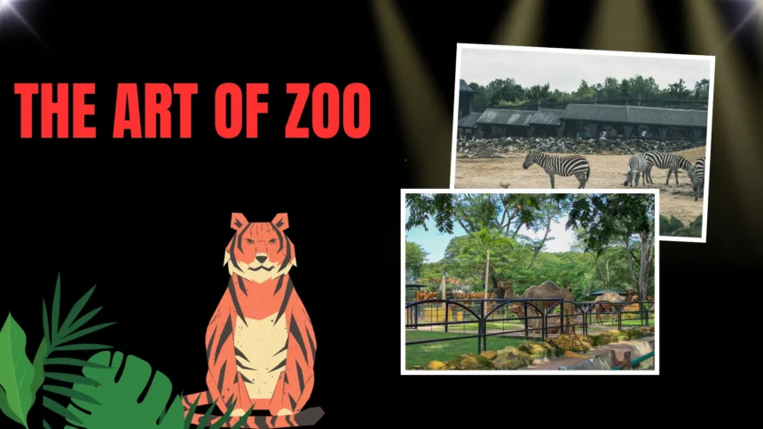 the art of zoo