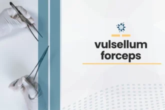 vulsellum forceps