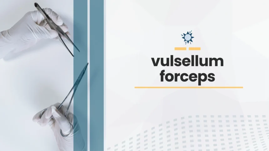 vulsellum forceps
